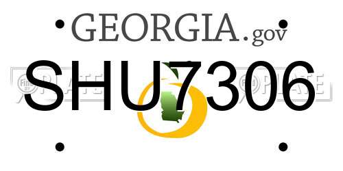 SHU7306 Georgia License Plate