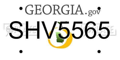 SHV5565 Georgia License Plate