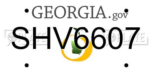 SHV6607 Georgia License Plate