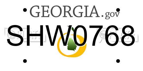 SHW0768 Georgia License Plate