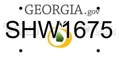 SHW1675 Georgia License Plate