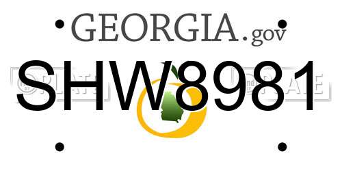 SHW8981 Georgia License Plate