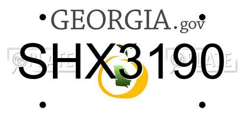 SHX3190 Georgia License Plate