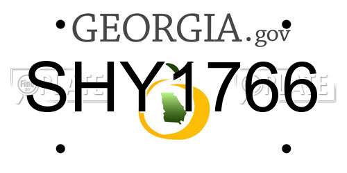 SHY1766 Georgia License Plate