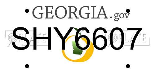 SHY6607 Georgia License Plate