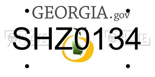 SHZ0134 Georgia License Plate