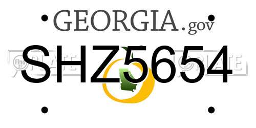 SHZ5654 Georgia License Plate