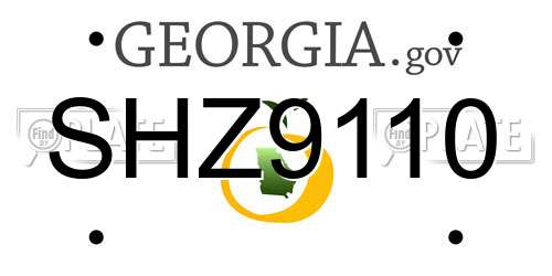 SHZ9110 Georgia License Plate