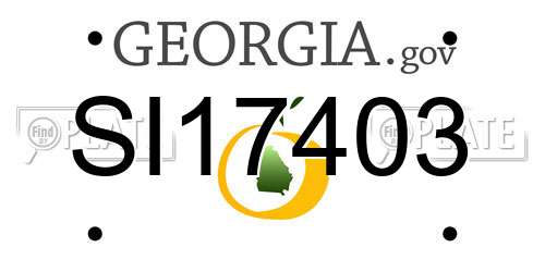 SI17403 Georgia License Plate