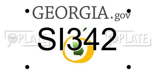 SI342 Georgia License Plate