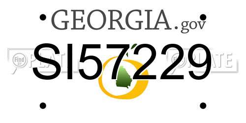 SI57229 Georgia License Plate