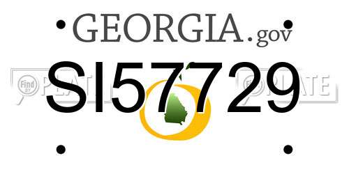 SI57729 Georgia License Plate