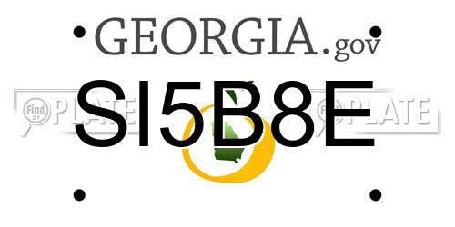 SI5B8E Georgia License Plate