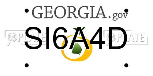 SI6A4D Georgia License Plate