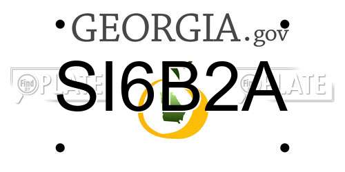 SI6B2A Georgia License Plate