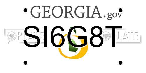 SI6G8T Georgia License Plate
