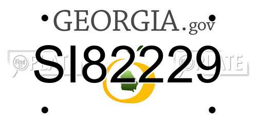 SI82229 Georgia License Plate