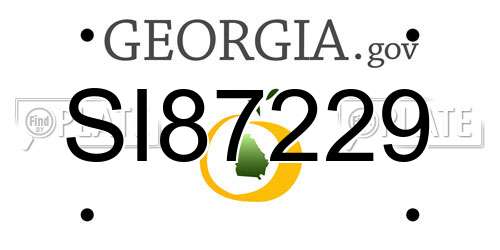 SI87229 Georgia License Plate