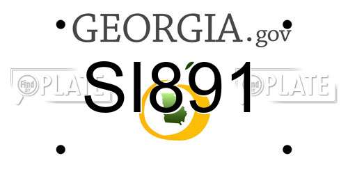 SI891 Georgia License Plate