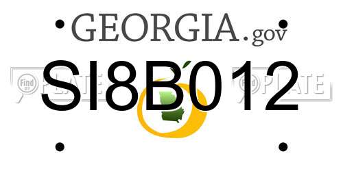 SI8B012 Georgia License Plate