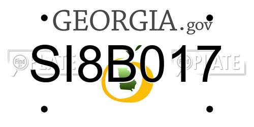 SI8B017 Georgia License Plate
