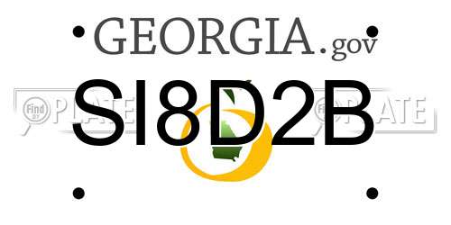 SI8D2B Georgia License Plate