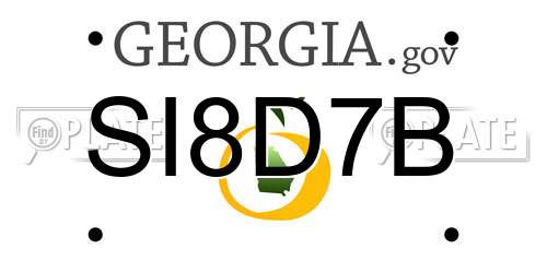 SI8D7B Georgia License Plate