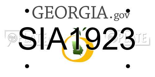 SIA1923 Georgia License Plate