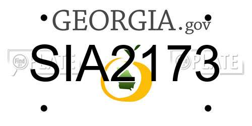 SIA2173 Georgia License Plate