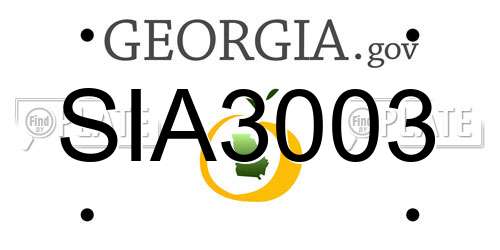 SIA3003 Georgia License Plate