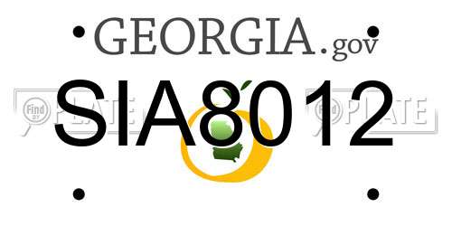 SIA8012 Georgia License Plate