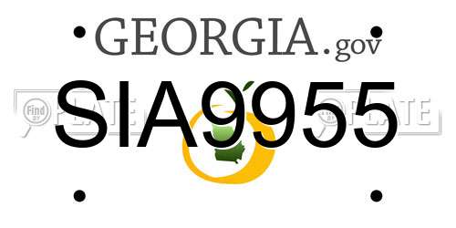 SIA9955 Georgia License Plate