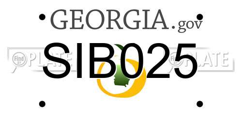 SIB025 Georgia License Plate