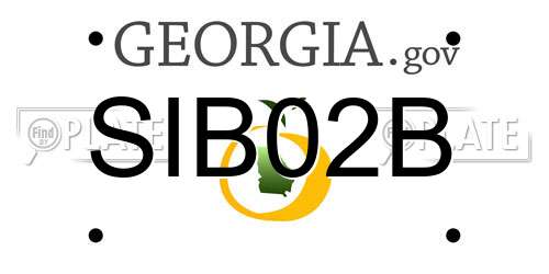 SIB02B Georgia License Plate