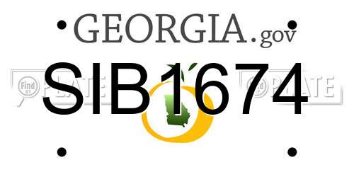 SIB1674 Georgia License Plate