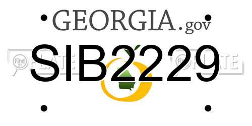 SIB2229 Georgia License Plate