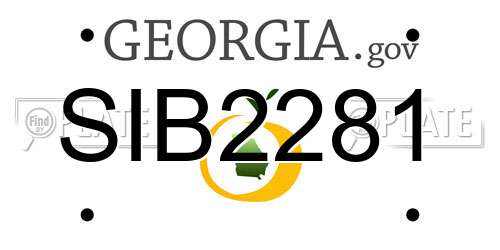 SIB2281 Georgia License Plate