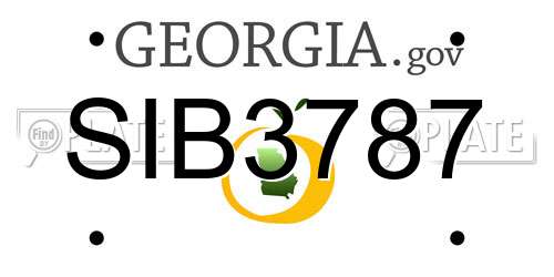SIB3787 Georgia License Plate