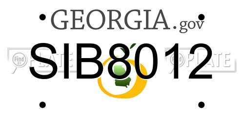 SIB8012 Georgia License Plate
