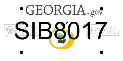 SIB8017 Georgia License Plate