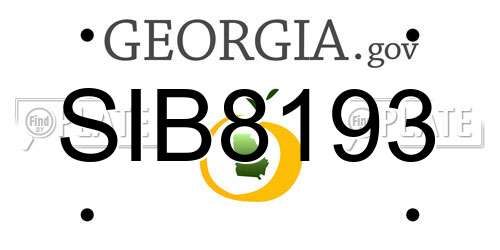 SIB8193 Georgia License Plate