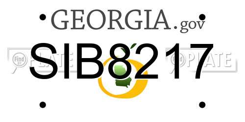 SIB8217 Georgia License Plate