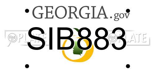 SIB883 Georgia License Plate