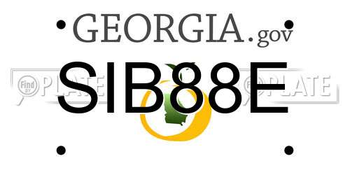 SIB88E Georgia License Plate