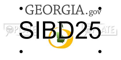 SIBD25 Georgia License Plate
