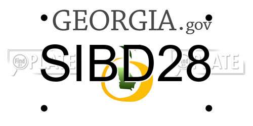 SIBD28 Georgia License Plate