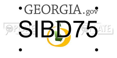SIBD75 Georgia License Plate