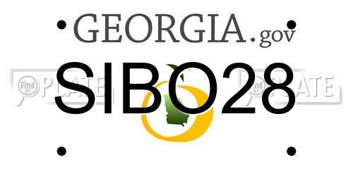 SIBO28 Georgia License Plate