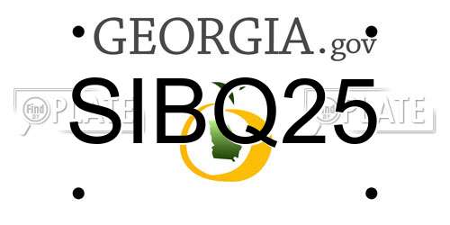 SIBQ25 Georgia License Plate