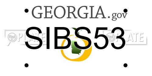 SIBS53 Georgia License Plate